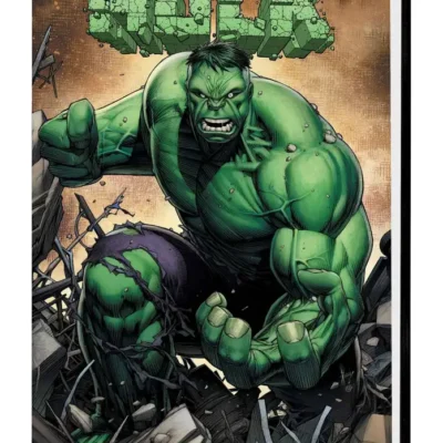 Incredible Hulk by Peter David Omnibus HC Vol 05 Keown Dm Va