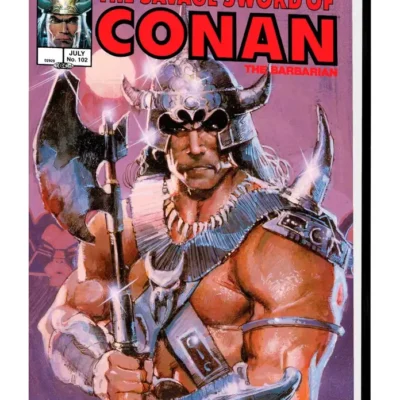 Savage Sword of Conan Marvel Years Omnibus HC Vol 08 Sienkie